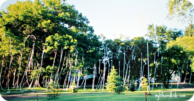 Toilet Paper Teepee