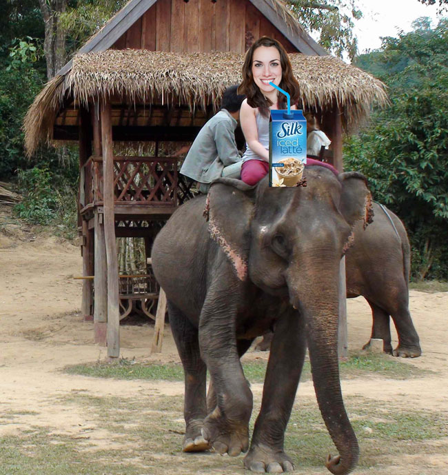 Silk Makes Me Feel LIke I'm Riding an Elephant