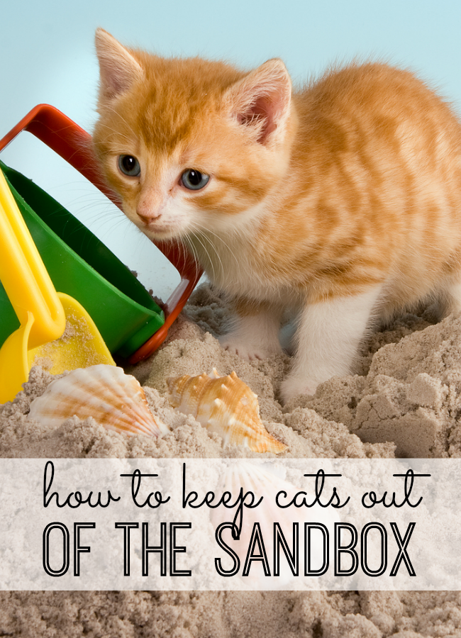 Super simple and FREE solution that will keep your cats out of the sandbox all summer long!