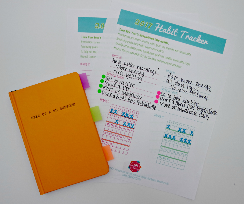 Making My Mornings Great with Burt's Bees + Free Habit Tracker ...
