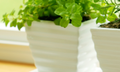 Starting an indoor herb garden at home requires a little planning, a lot of sunlight, and regular care, but it’s definitely worth it. Whether you’re starting an indoor herb garden with the hopes of moving it outdoors in warmer weather, or you’re planning on keeping plants indoors year-round, we’ve found some useful tips to get you started on making your own DIY herb garden.