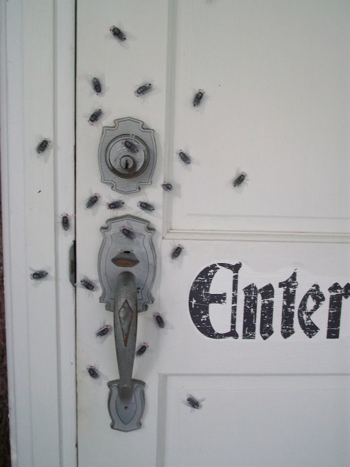 How will you get into the Halloween spirit? I'm going to fill my house with these cool Halloween decorations!