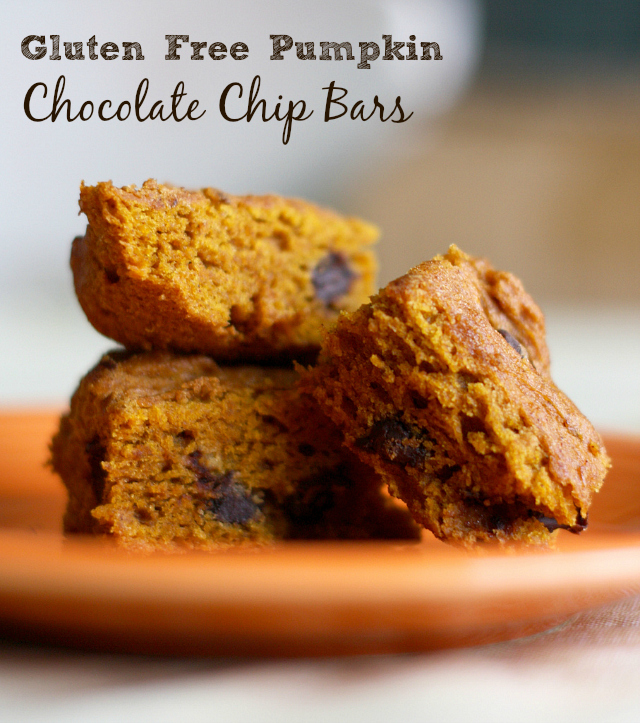 Pumpkin Chocolate Chip Bars