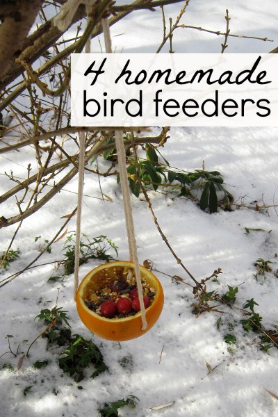 Bird Feeder