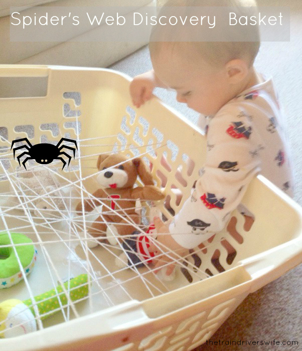Spider Web Discovery Basket