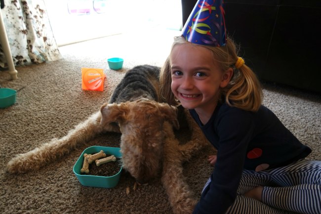 Planning a dog party? I'm sharing my favorite dog party ideas - including dog party games, the best dog party food, dog party decorations and (of course) the best dog party gifts! Great ideas for puppy and dog parties.
