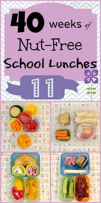 Need some fresh, new ideas for your kids' lunches this year? We have you covered! 50 MORE great packed lunch ideas for kids!