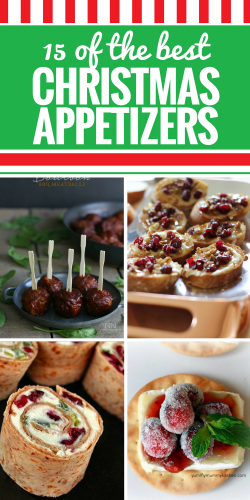 15 Christmas Appetizer Recipes - My Life and Kids