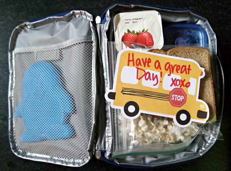 Do I Need an Ice Pack In My Kids Lunch Box