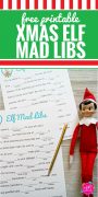 Christmas Elf Mad Libs - My Life and Kids