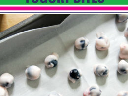Easy Blueberry Yogurt Bites - Even Your Picky Kids Will Love These!