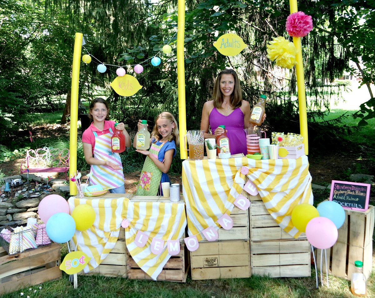 examples of lemonade stands