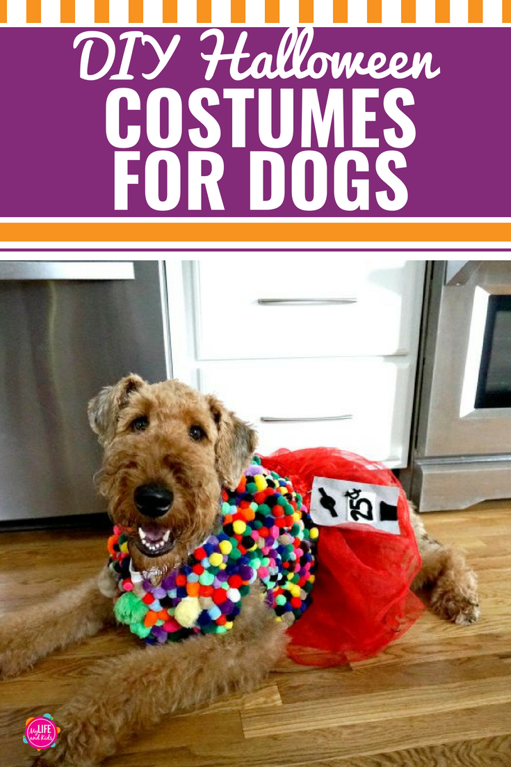 DIY Halloween Costumes for Dogs - My Life and Kids