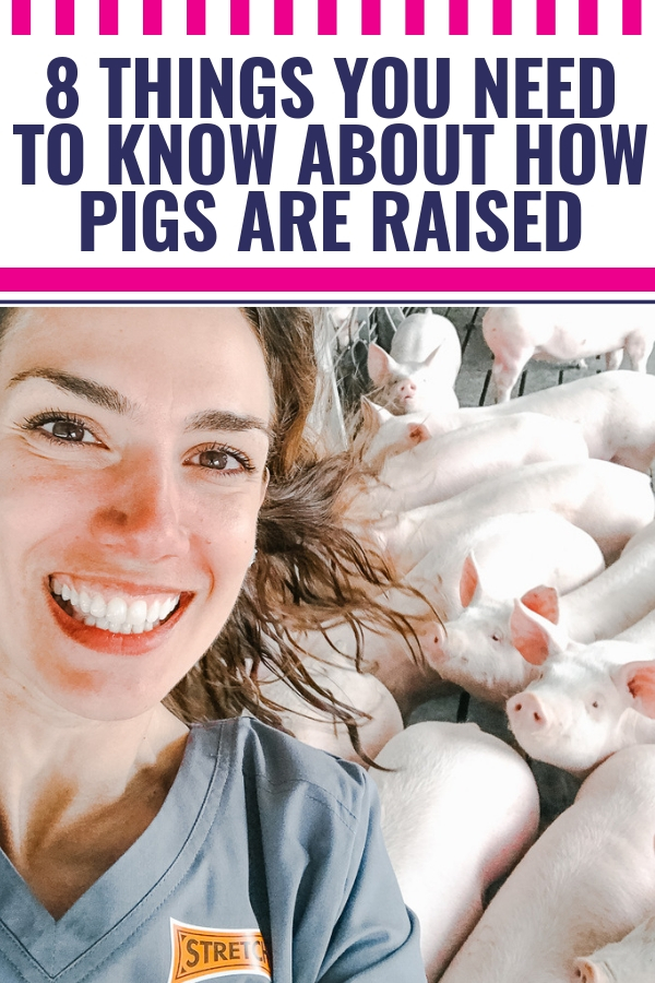 Farm to Table: What I learned at an Ohio Pig Farm + My Aunt Lura’s Pork Tenderloin Recipe