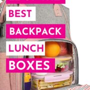 Pinterest pin advertising 22 of the best backpack lunchboxes