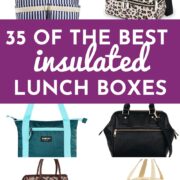 35 of the best insulated lunch boxes pinterest pin