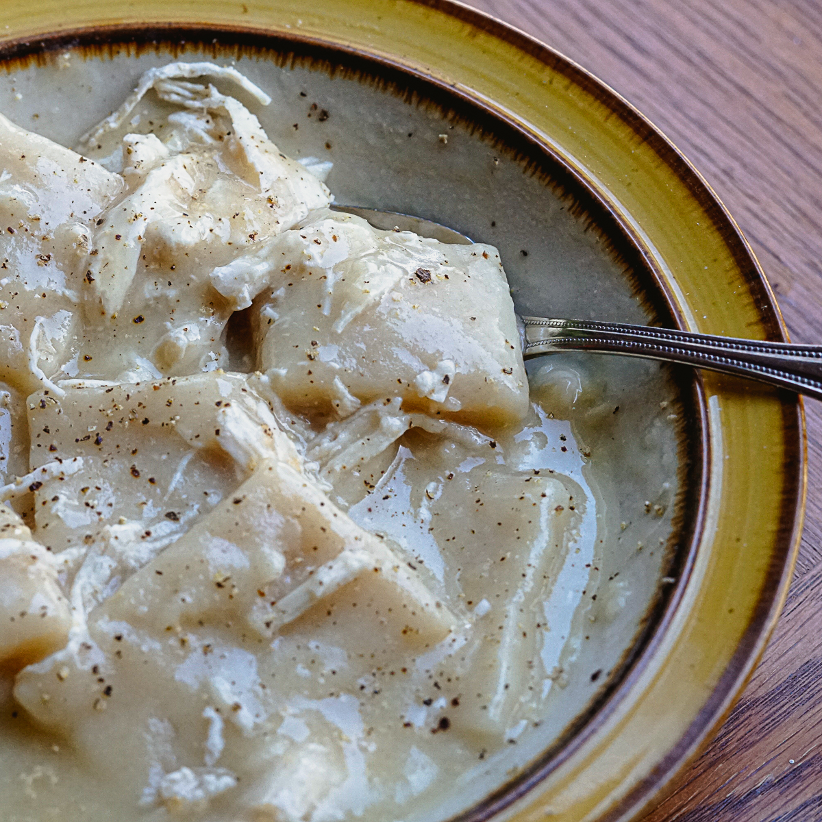 Homemade chicken and dumplings in a bowl with salt and pepper