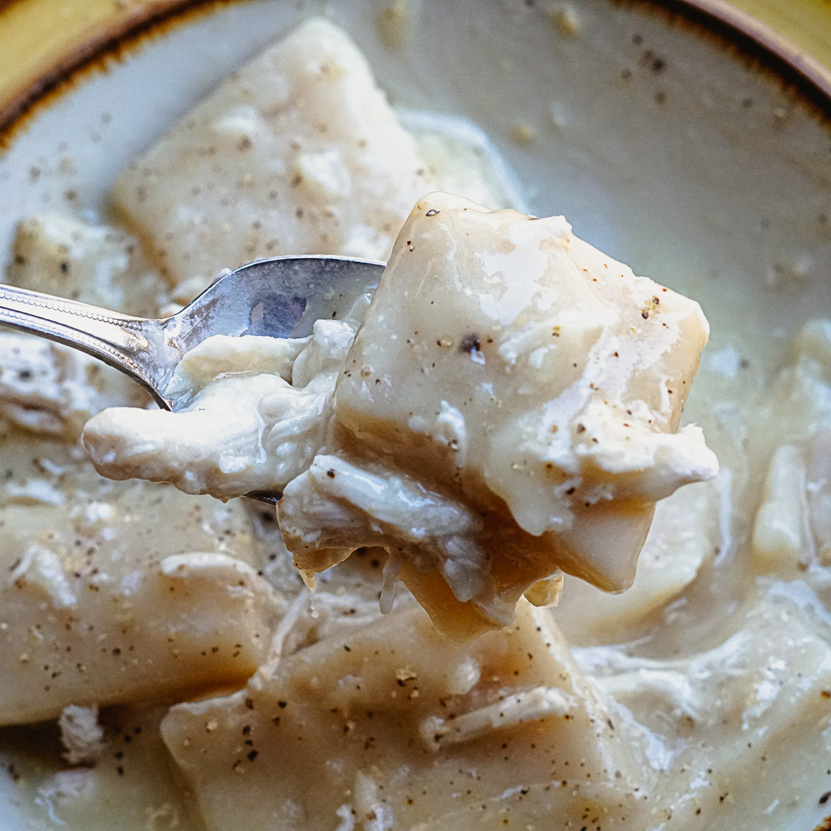 Homemade chicken and dumplings on a fork with salt and pepper