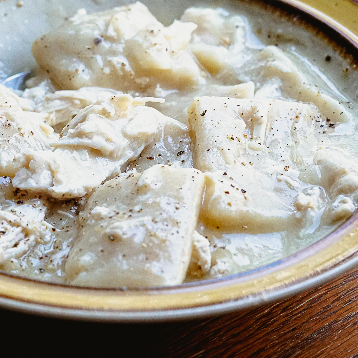 Homemade chicken and dumplings with salt and pepper