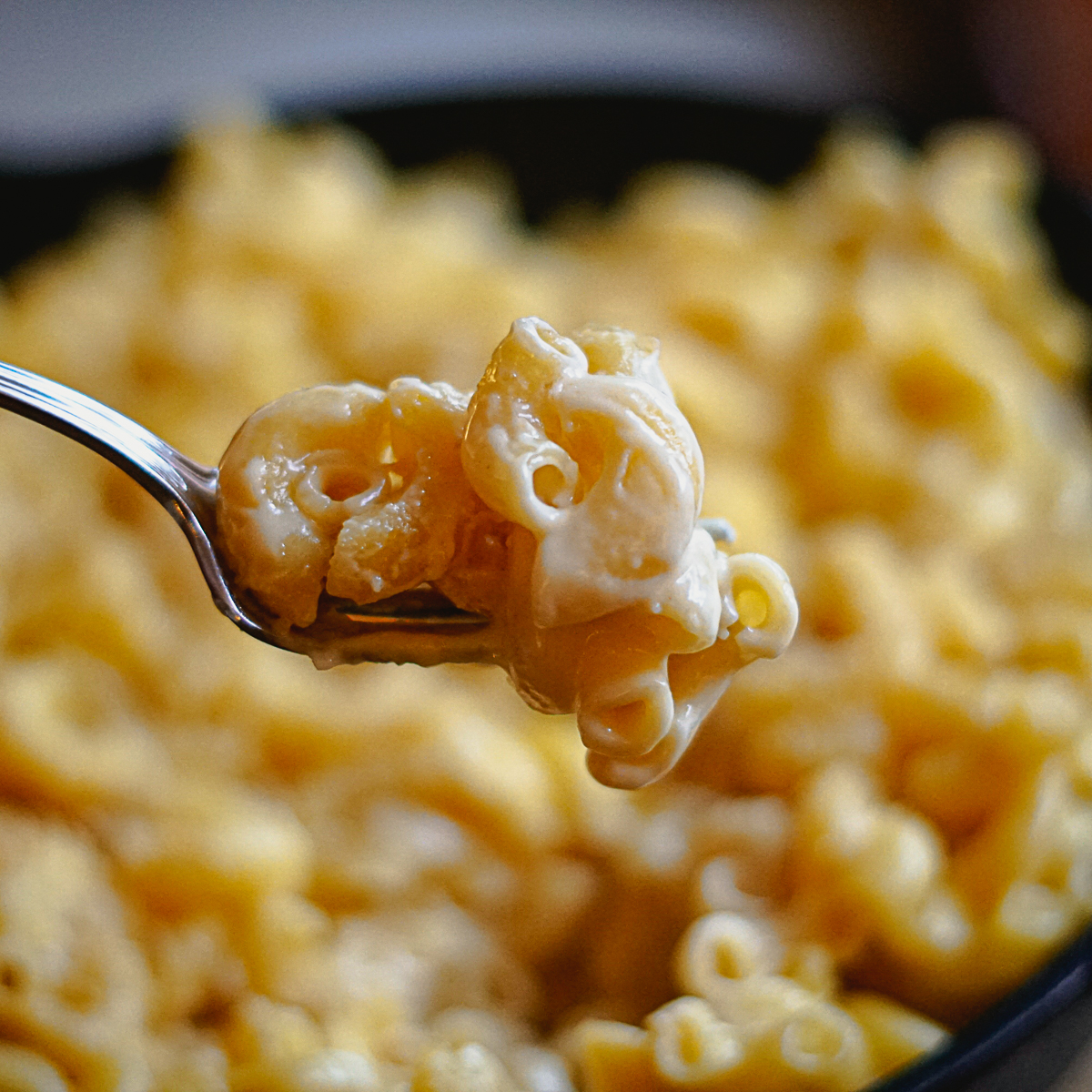 Cracker Barrel Macaroni and Cheese Copycat Recipe with a fork holding a bit of creamy noodles
