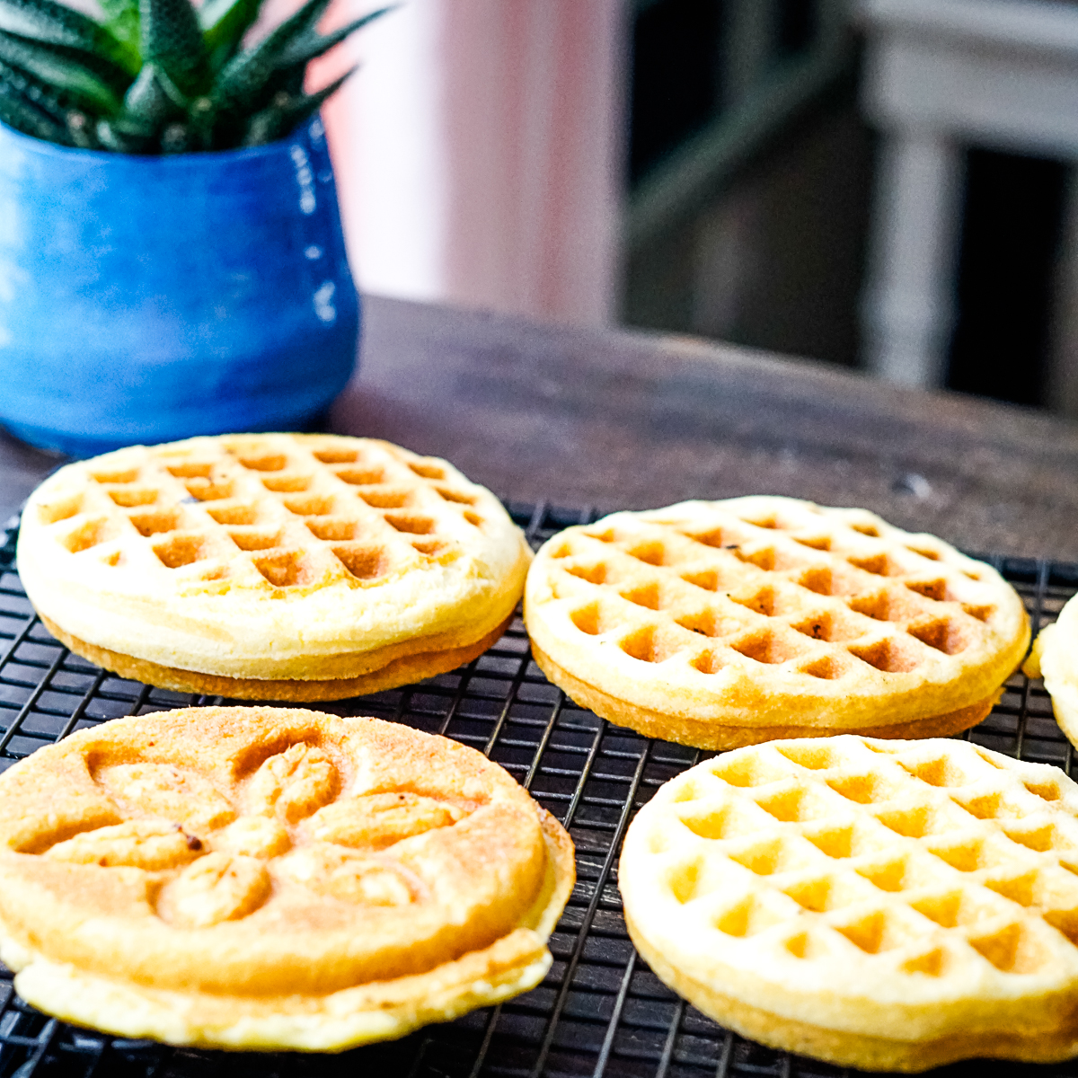 Four cornbread waffles cooling on a cooling rack with succulent behind them
