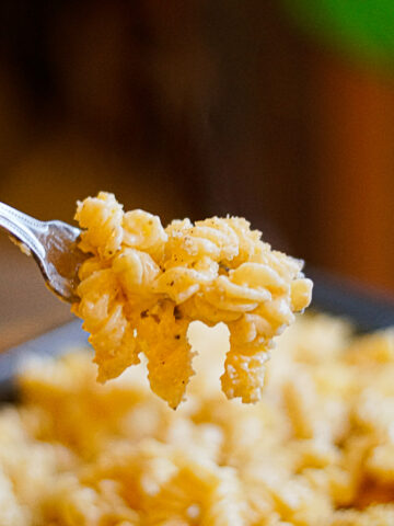 Gluten Free Cracker Barrel Macaroni and Cheese Recipe with a fork holding up a bite of noodles