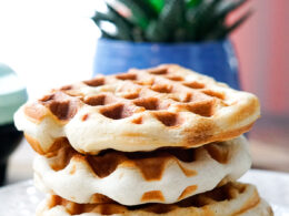 Canned Dinner Roll Waffles in the Dash Mini Waffle Maker - My Life ...
