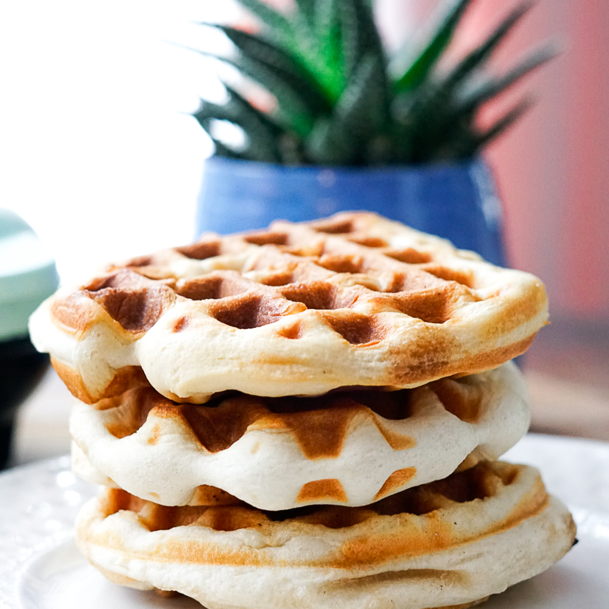 Canned Dinner Roll Waffles in the Dash Mini Waffle Maker